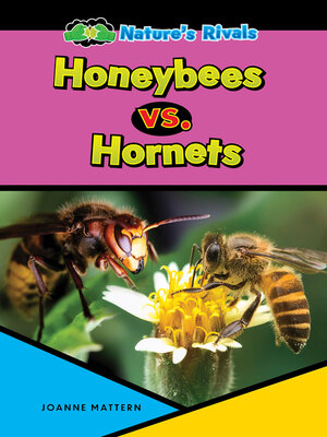 cover image of Honeybee vs. Hornet